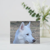 siberian husky white briefkaart (Staand voorkant)