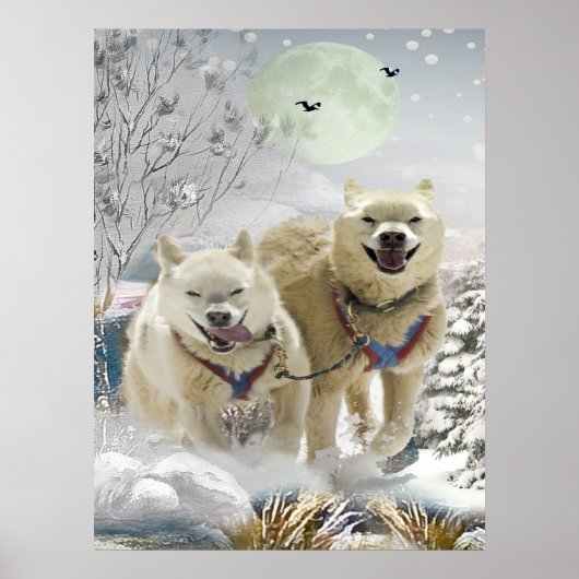 Siberian Husky Winter Scene Print (Voorkant)