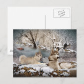 Siberian Husky Winter Wonderland Briefkaart (Voorkant / Achterkant)