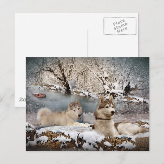 Siberian Husky Winter Wonderland Briefkaart (Voorkant / Achterkant)