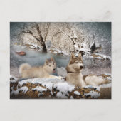 Siberian Husky Winter Wonderland Briefkaart (Voorkant)