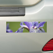 Siberian Iris Bumpersticker (Op auto)