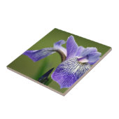 Siberian Iris Trivet Tegeltje (Zijkant)