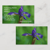  Siberian Iris Visitekaartje (Voorkant / Achterkant)