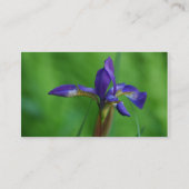  Siberian Iris Visitekaartje (Achterkant)