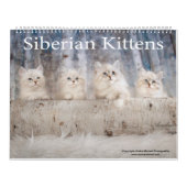 Siberian Kittens Calendar Kalender (Hoes)