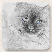 Siberian Kitty Cat Napping op het marmer Slab Onderzetter (Voorkant)