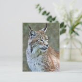 Siberian Lynx Briefkaart (Staand voorkant)