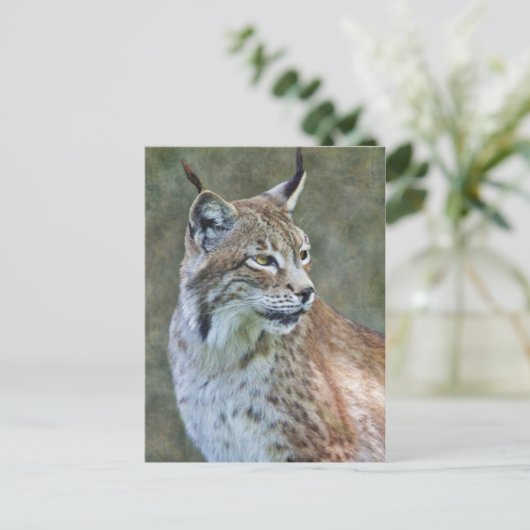 Siberian Lynx Briefkaart (Staand voorkant)