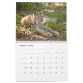 Siberian Lynx Calendar, Siberian Lynx Kalender (Jan 2026)