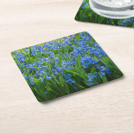 Siberian Squill Kartonnen Onderzetters (Schuin)