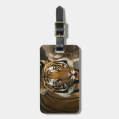 Siberian Tiger Bagagelabel (Voorkant verticaal)