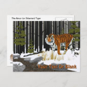 Siberian Tiger Briefkaart (Voorkant / Achterkant)