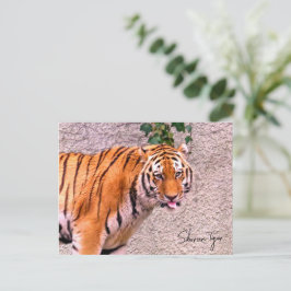 Siberian Tiger Briefkaart
