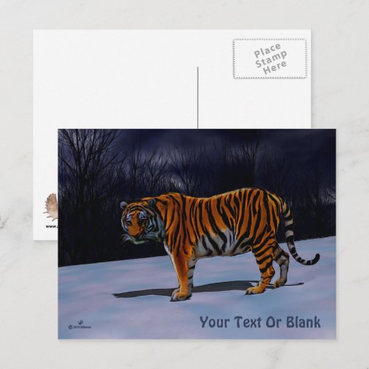 Siberian Tiger Briefkaart (Voorkant / Achterkant)