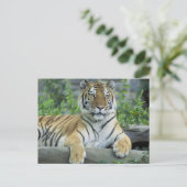 Siberian Tiger Briefkaart (Staand voorkant)