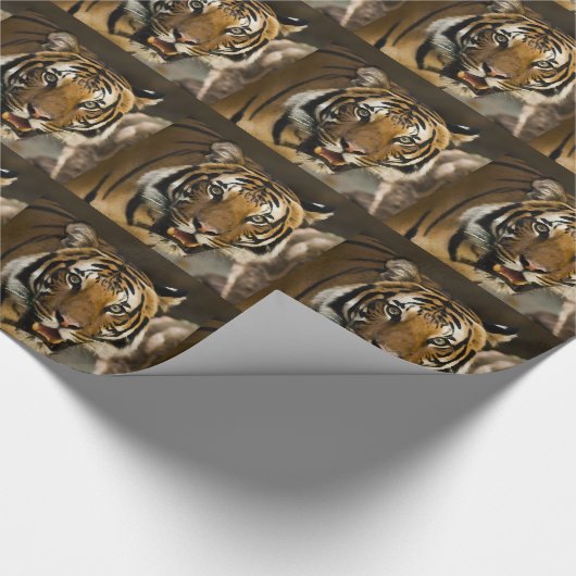 Siberian Tiger Cadeaupapier (Hoek)