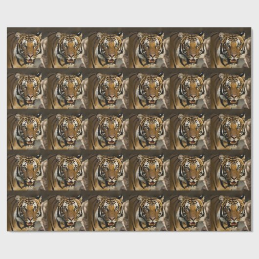 Siberian Tiger Cadeaupapier (Vlak)