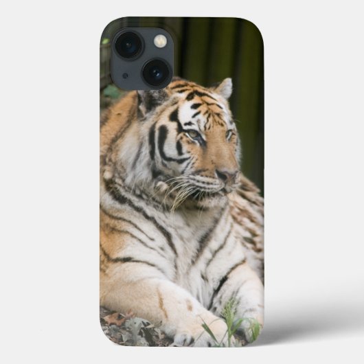 Siberian Tiger Case-Mate iPhone Case (Achterkant)