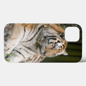 Siberian Tiger Case-Mate iPhone Case (Achterkant (horizontaal))