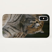 Siberian Tiger Case-Mate iPhone Hoesje (Achterkant (horizontaal))
