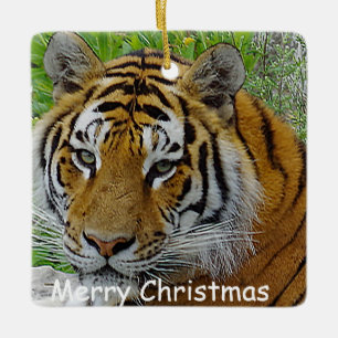 Siberian Tiger Closeup Foto van Face Keramisch Ornament
