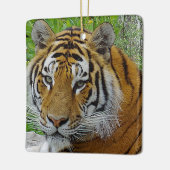 Siberian Tiger Closeup Foto van Face Keramisch Ornament (Links)