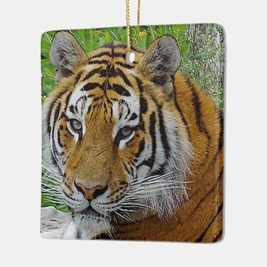 Siberian Tiger Closeup Foto van Face Keramisch Ornament (Links)