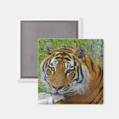 Siberian Tiger Closeup Foto van Face Magneet (Voorkant / Achterkant)