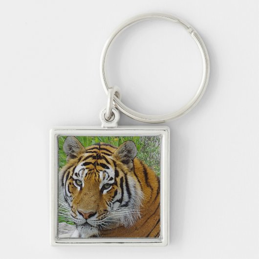 Siberian Tiger Closeup Foto van Face Sleutelhanger (Voorkant)