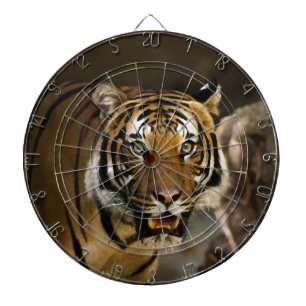 Siberian Tiger Dartbord