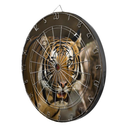 Siberian Tiger Dartbord (Voorkant Rechts)