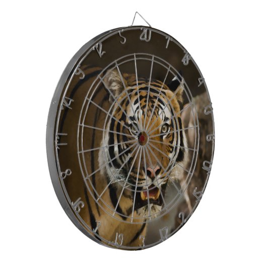 Siberian Tiger Dartbord (Voorkant Links)