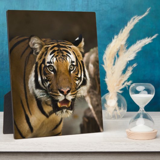 Siberian Tiger Fotoplaat (Zijkant)