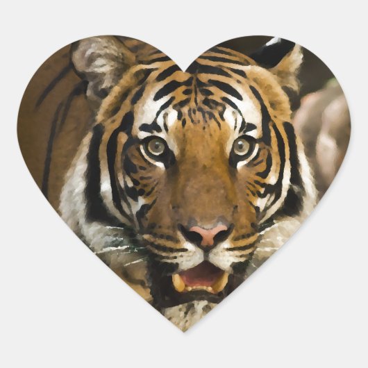 Siberian Tiger Hart Sticker (Voorkant)