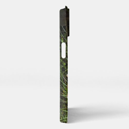 Siberian Tiger iPhone Hoesje (Rechterkant)