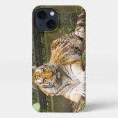 Siberian Tiger iPhone Hoesje (Achterkant)