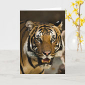 Siberian Tiger Kaart (Gele Bloem)