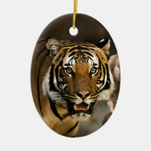 Siberian Tiger Keramisch Ornament