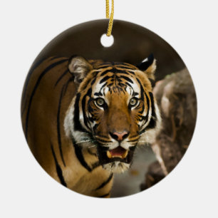 Siberian Tiger Keramisch Ornament