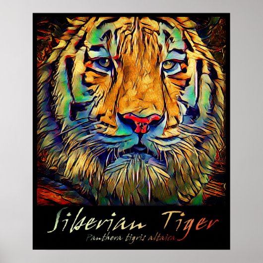 Siberian Tiger [Kunstposter] Poster (Voorkant)
