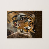Siberian Tiger Legpuzzel (Horizontaal)