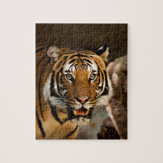 Siberian Tiger Legpuzzel (Verticaal)