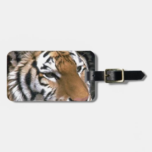 Siberian Tiger Lovers Art Bagagelabel (Voorkant horizontaal)