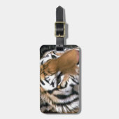 Siberian Tiger Lovers Art Bagagelabel (Voorkant verticaal)