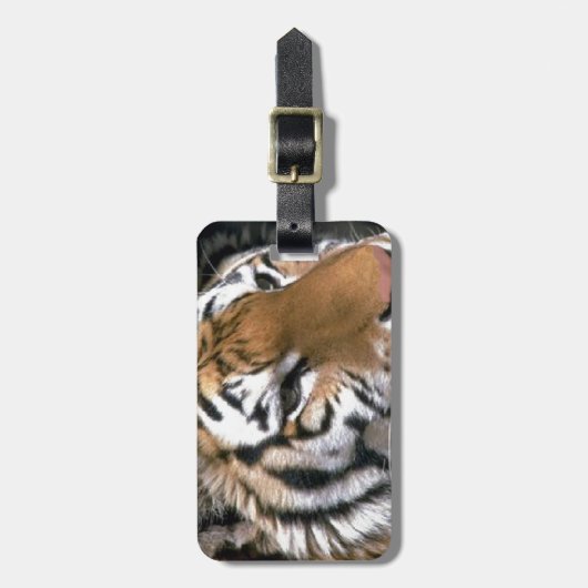 Siberian Tiger Lovers Art Bagagelabel (Voorkant verticaal)