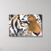 Siberian Tiger Lovers Art Canvas Afdruk (Voorkant)