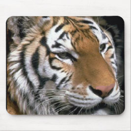Siberian Tiger Lovers Art Muismat