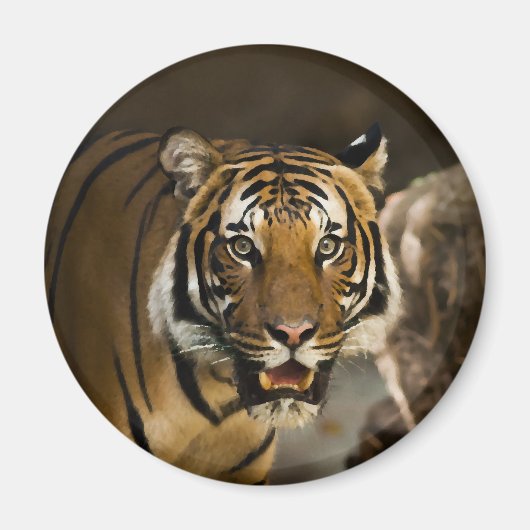 Siberian Tiger Magneet (Voorkant)