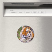 Siberian Tiger magneet (Insitu (Vaatwasser))